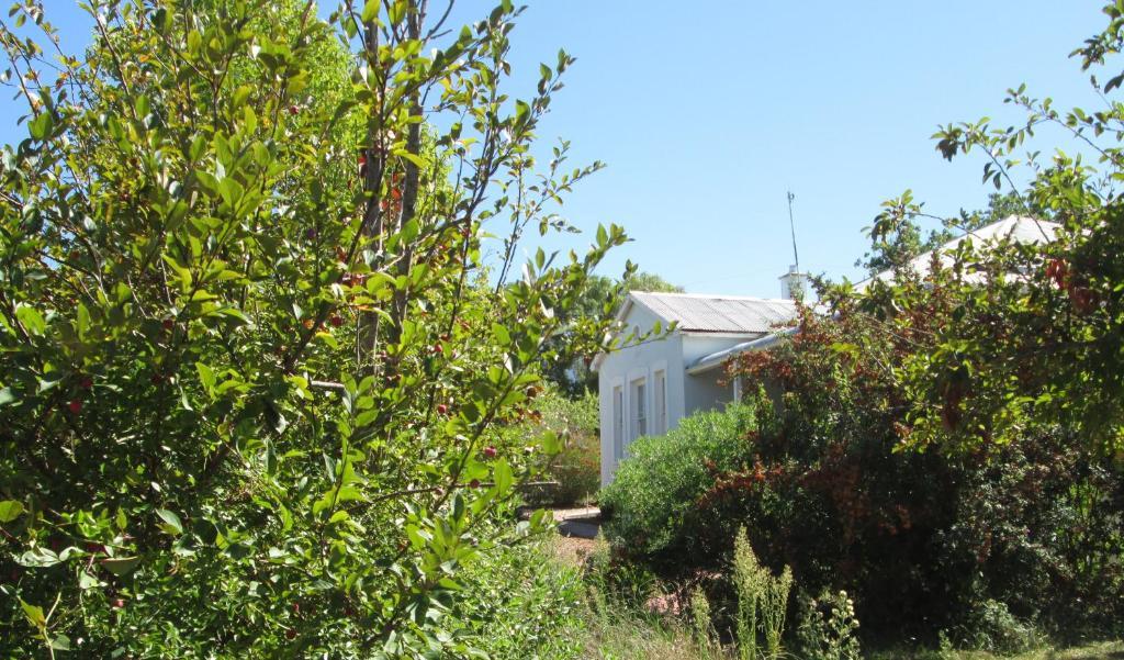 Impangele Guest House Swellendam Δωμάτιο φωτογραφία